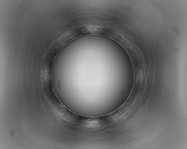 X0000111490651200907141239