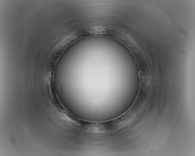 X0000111490652200907141239