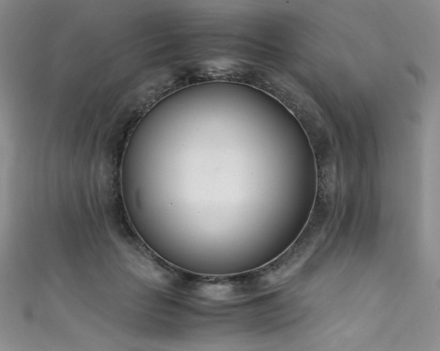 X0000111490653200907141239