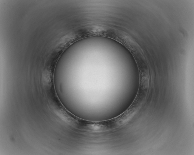 X0000111490654200907141239