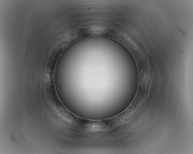 X0000111490655200907141239