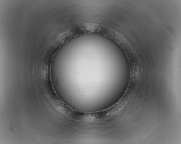 X0000111490656200907141239