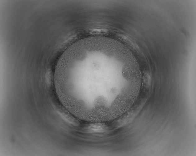 X0000111490659200907141240