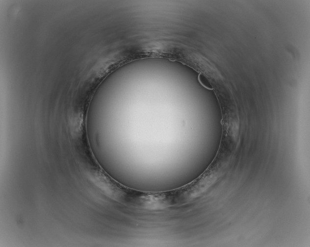 X0000111490660200907141240
