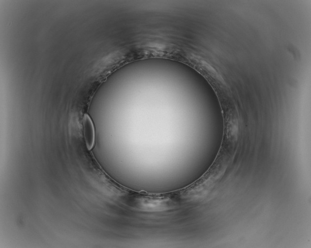 X0000111490661200907141240