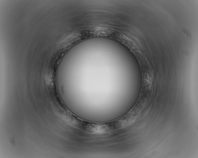 X0000111490663200907141240