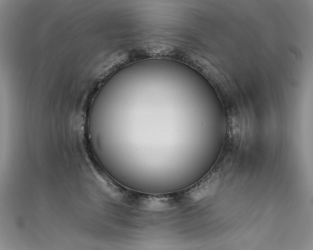 X0000111490664200907141240