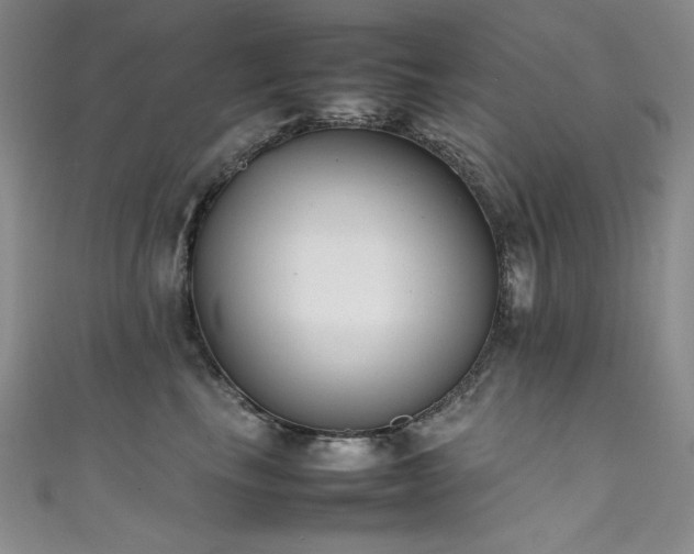X0000111490665200907141240