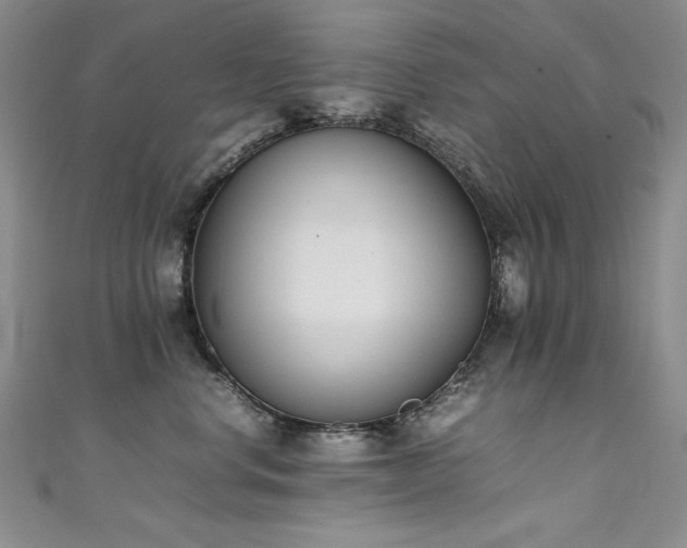 X0000111490668200907141240