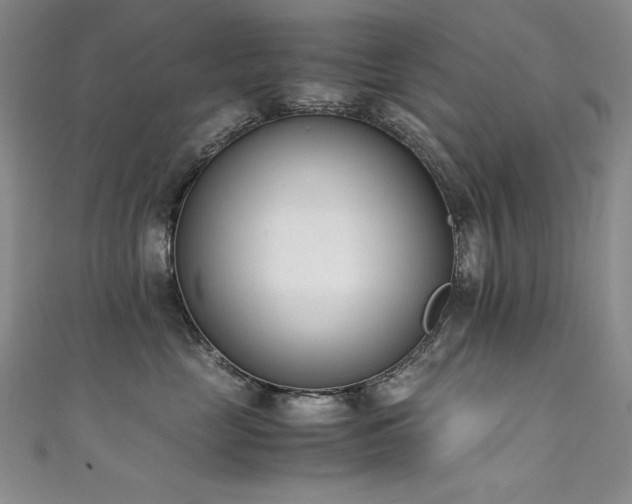 X0000111490669200907141240