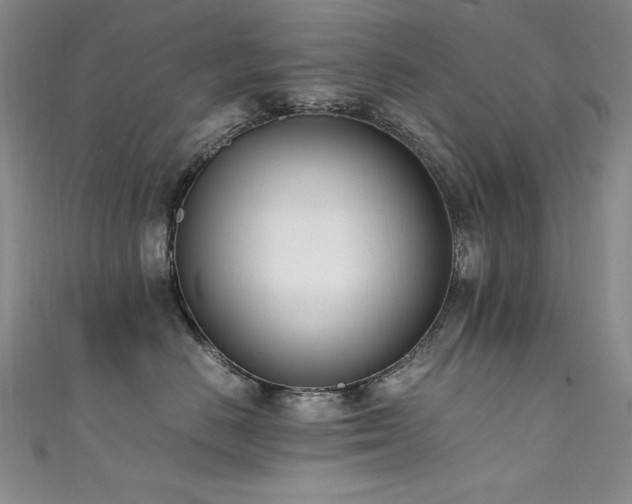 X0000111490670200907141240