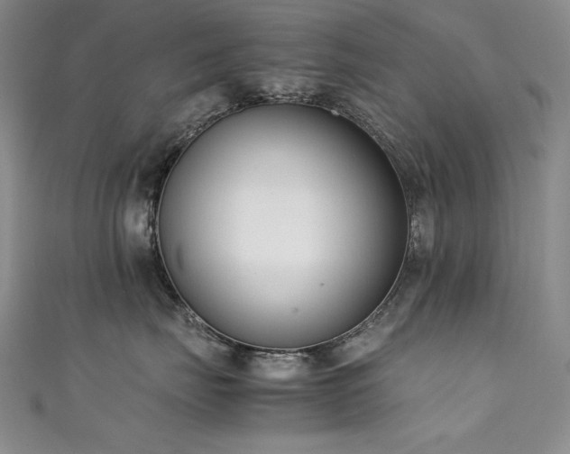 X0000111490671200907141240