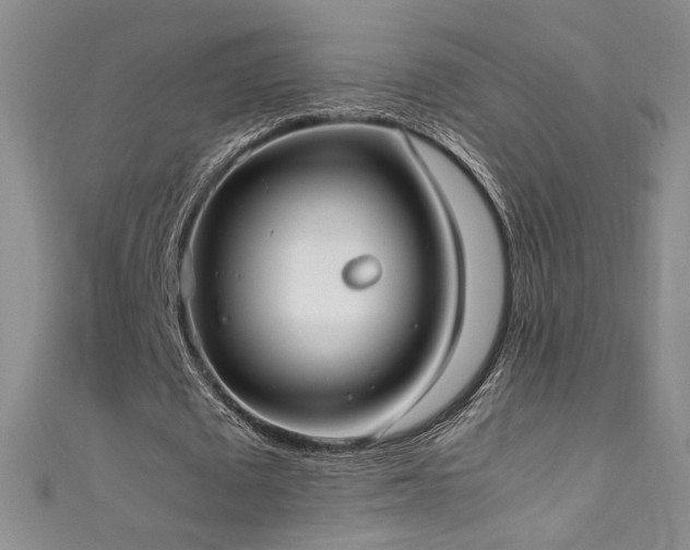 X0000111490673200907141239