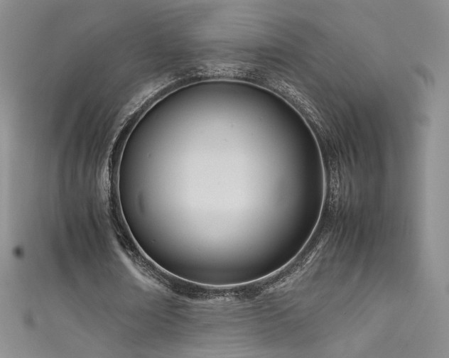 X0000111490674200907141239