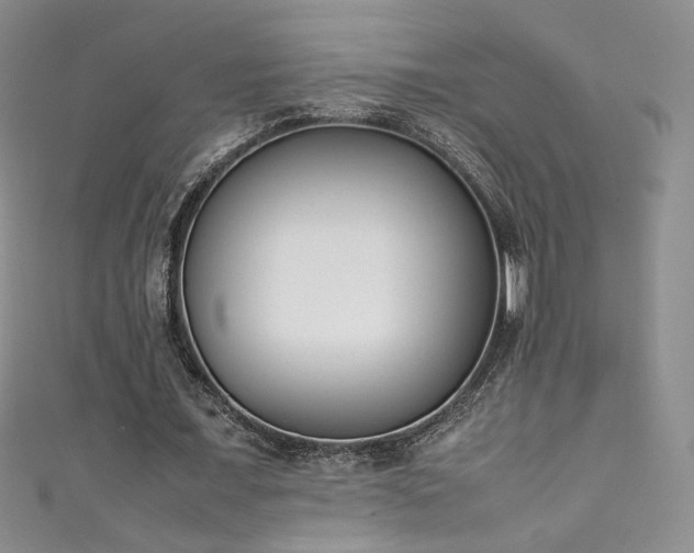X0000111490675200907141239