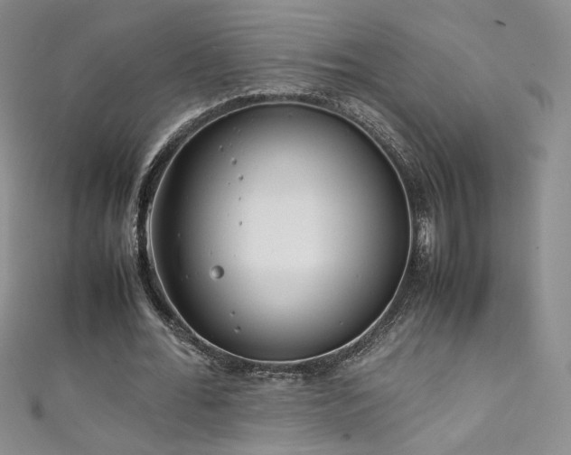 X0000111490676200907141239