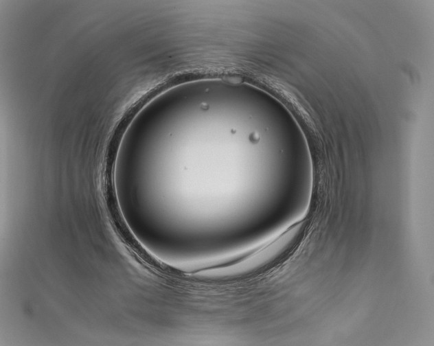 X0000111490677200907141239