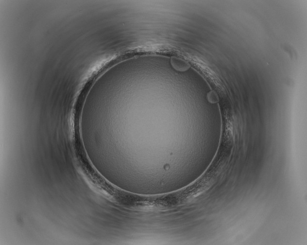 X0000111490678200907141239