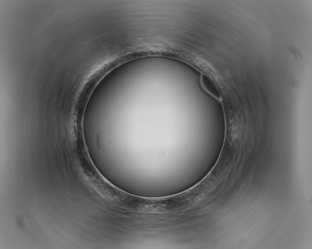X0000111490680200907141239