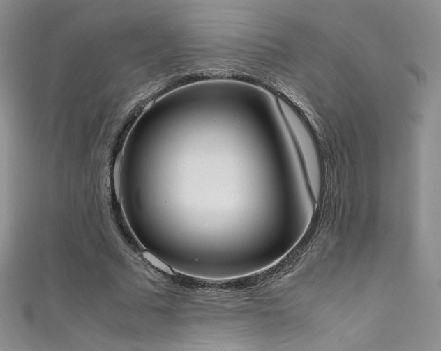 X0000111490681200907141239