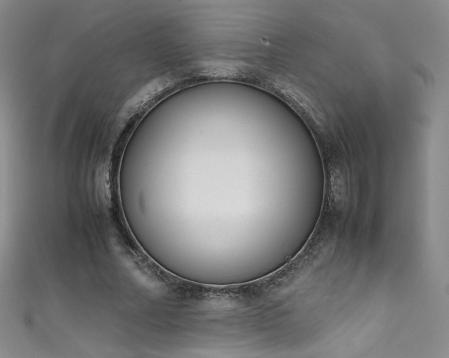 X0000111490682200907141239