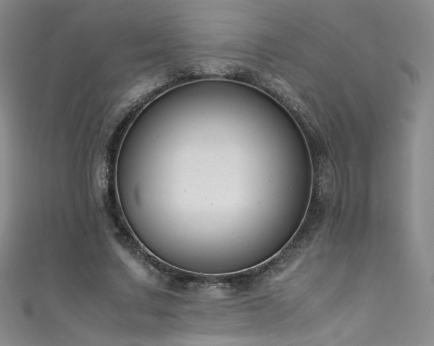 X0000111490683200907141239