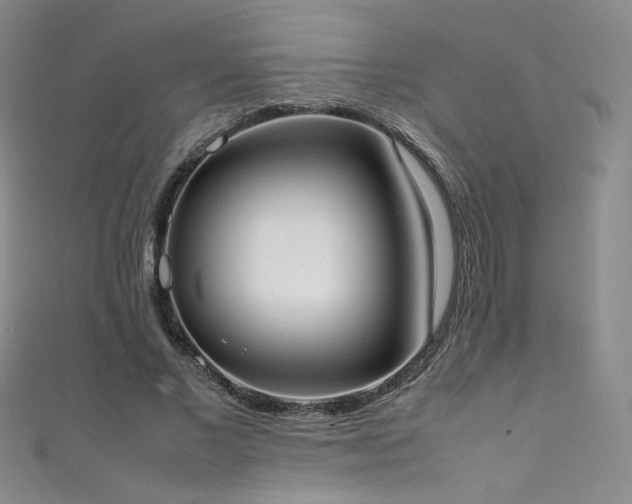 X0000111490685200907141239