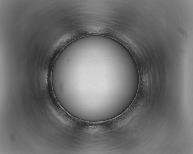 X0000111490686200907141239