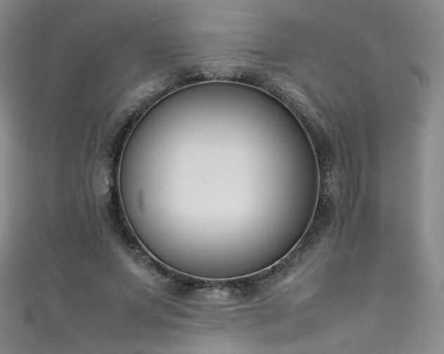 X0000111490687200907141239
