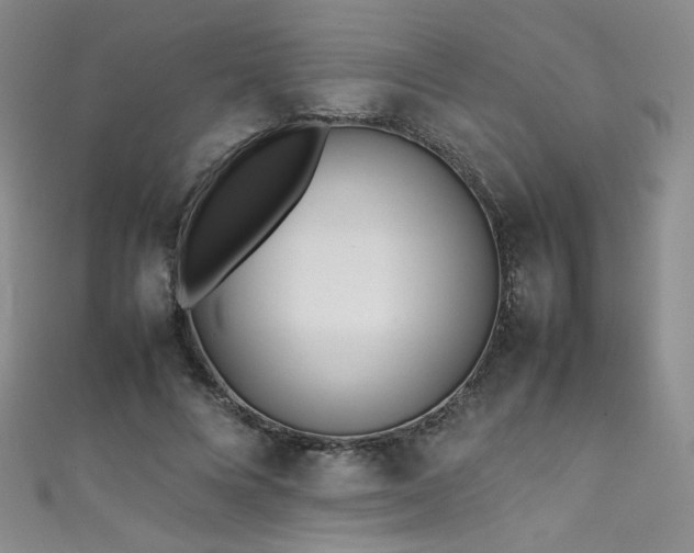 X0000111490688200907141239