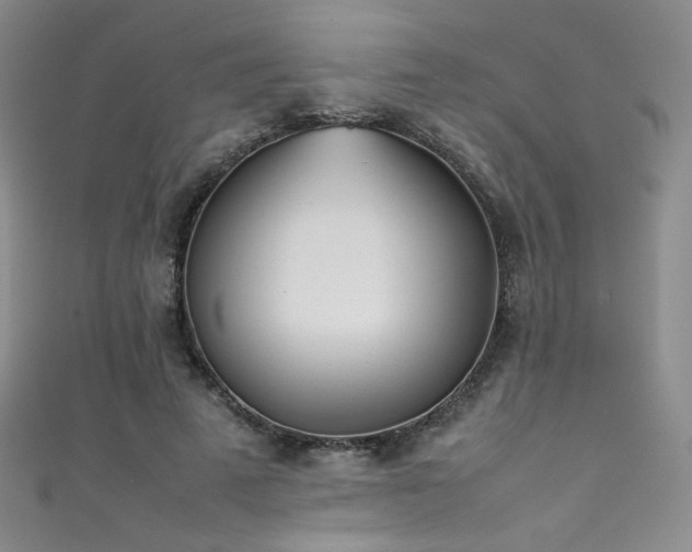 X0000111490689200907141239