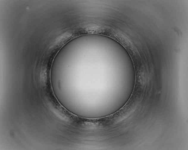 X0000111490690200907141239