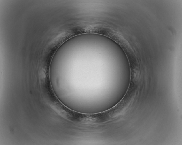 X0000111490691200907141239
