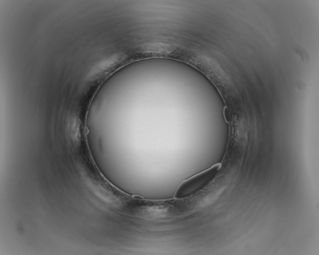 X0000111490692200907141239