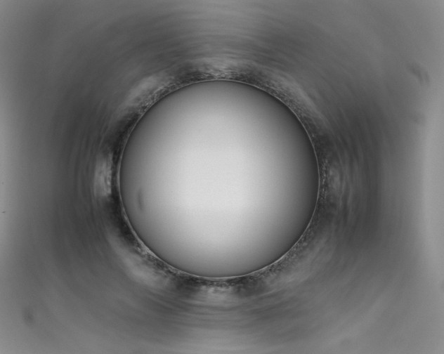 X0000111490694200907141239