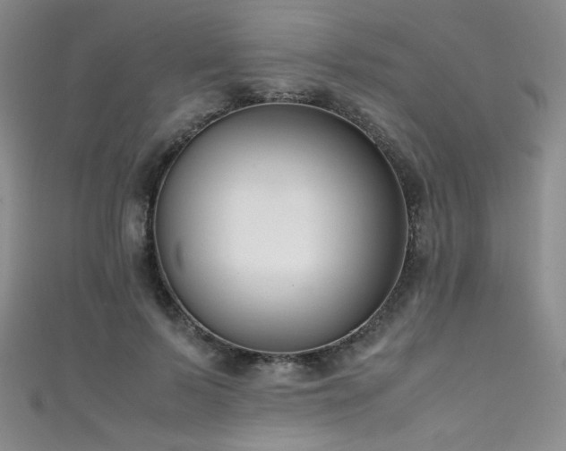 X0000111490695200907141239