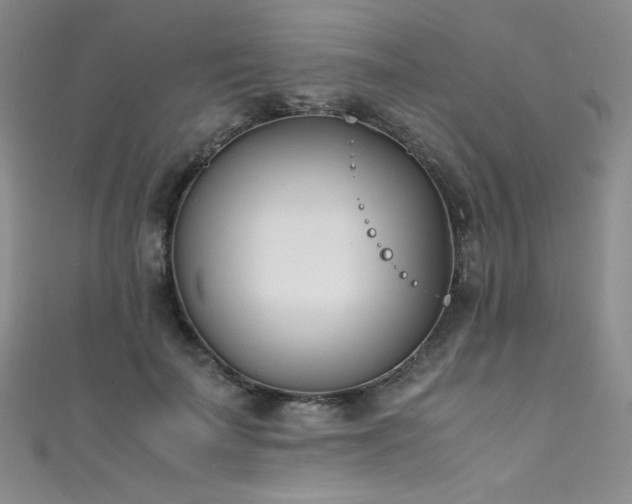 X0000111490699200907141239