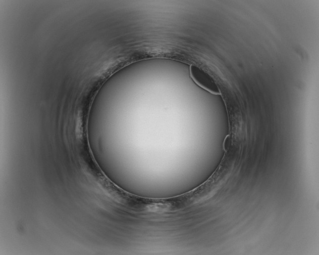 X0000111490700200907141239