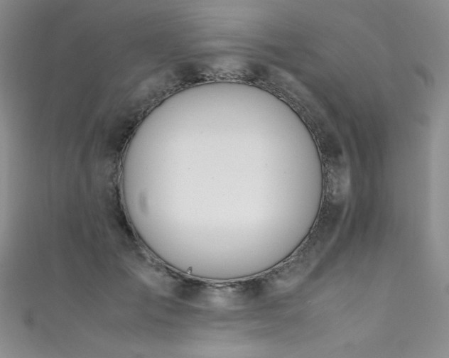 X0000111490701200907141239