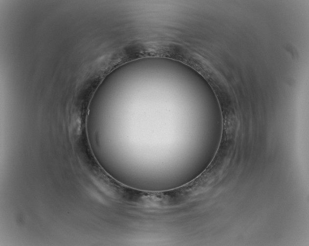 X0000111490703200907141239