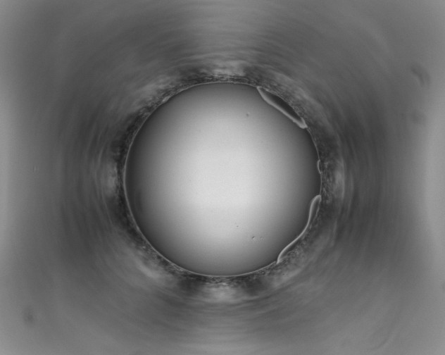 X0000111490704200907141239