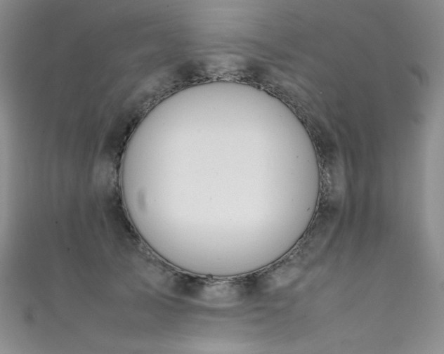 X0000111490705200907141239