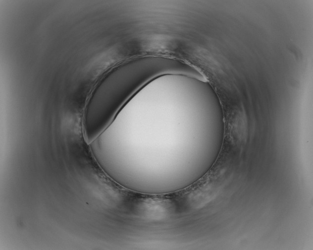 X0000111490708200907141239