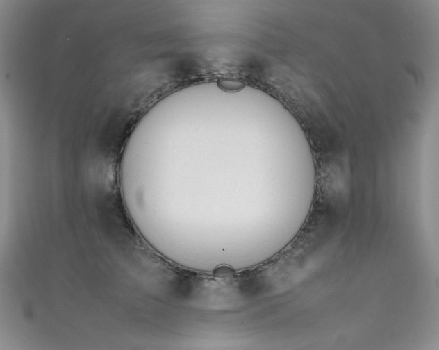 X0000111490709200907141239