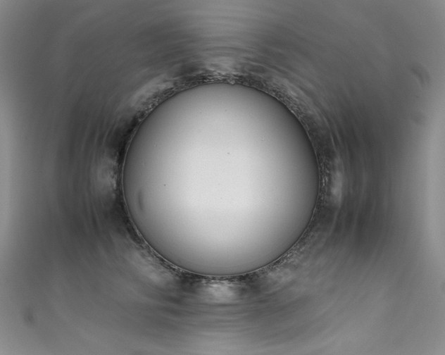 X0000111490710200907141239