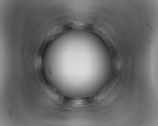 X0000111490711200907141239