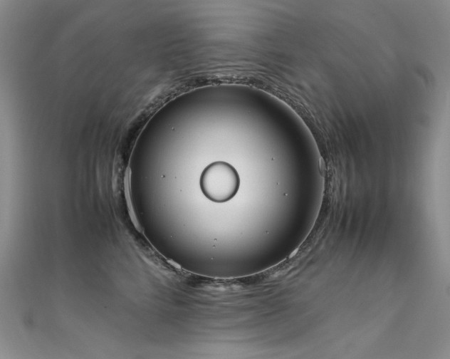 X0000111490712200907141239