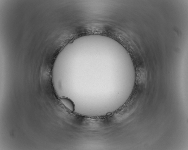 X0000111490713200907141239