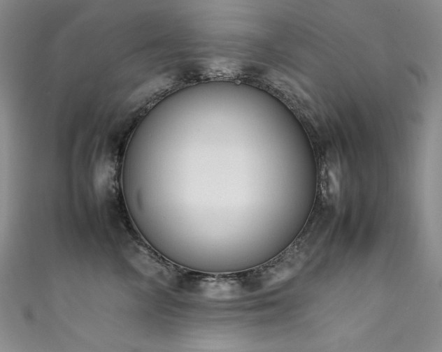X0000111490714200907141239