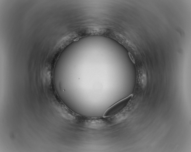 X0000111490716200907141239